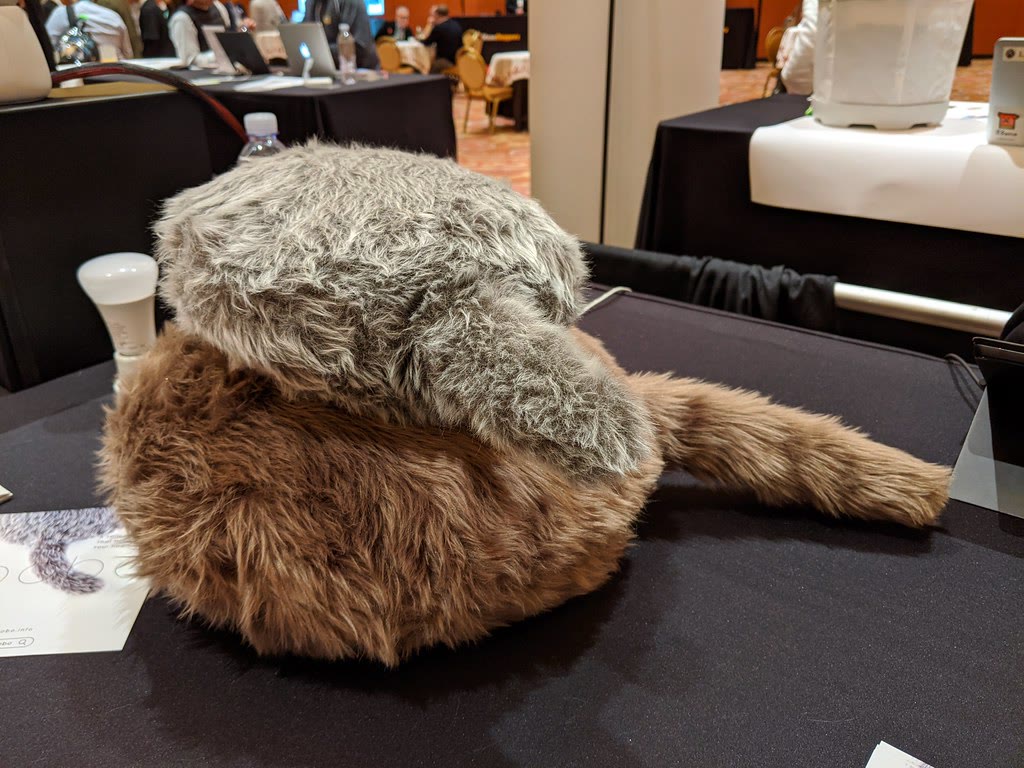 A gray Qoobo and a brown Qoobo tailed cushion robot together on a trade-show table